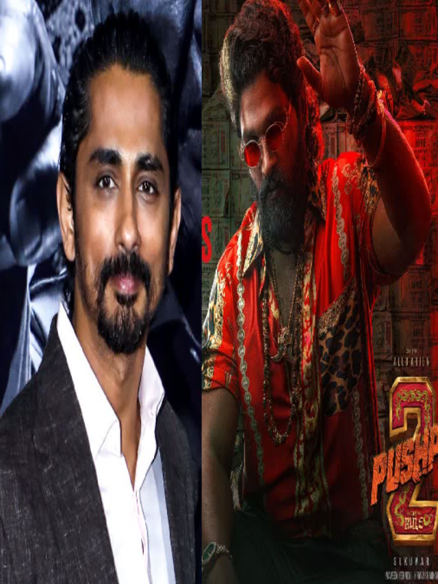 Ruckus due to Siddharth’s comment on ‘Pushpa 2’