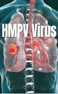 hmpv 1