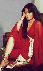 Parveen-Babi1-1_040418-014546