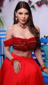 sherlyn-chopra-3