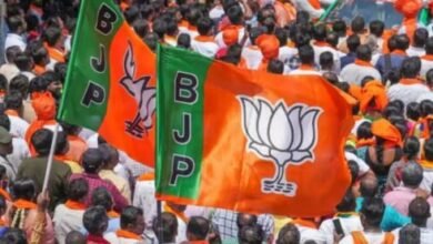CG BJP Appointments: Chhattisgarh BJP announces appointments...! New list of Backward Classes Front and SC Front released...See the jumbo list here!