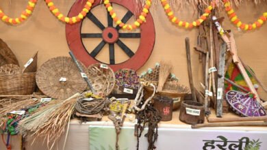 Hareli Utsav at CM Residence: A glimpse of Chhattisgarhi traditions seen in CM House...! See here