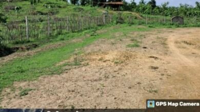 Scam in Campa: Claim of plantation on 265 hectares of land in Korba... not even 30% plants on the spot... now 45 lakh rupees will be recovered from these officers... see the list of corrupt officers here
