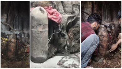 Miracle in City of Shiva: A big miracle in the city of Shiva, Jagdalpur…! An ancient Shivling appeared under the Sanjay Market platform
