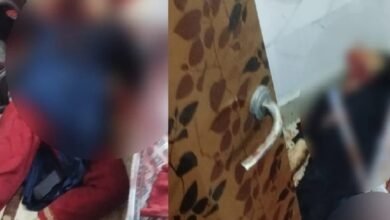 Double Murder: When the mistress scolded the servant, he brutally killed the mother and son