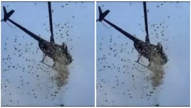 Father Funeral: A unique farewell to father…! Money and flowers were showered from a helicopter during the funeral… watch the video here
