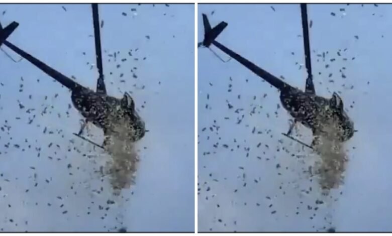 Father Funeral: A unique farewell to father…! Money and flowers were showered from a helicopter during the funeral… watch the video here