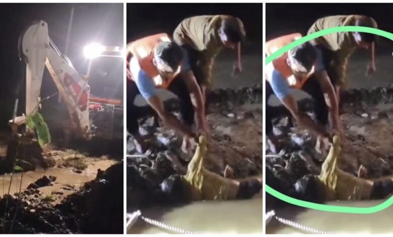 Death due to Borewell: Two minor sisters died a painful death after falling into an open borewell... watch the video here