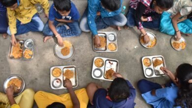 Mid Day Meal: Students were served dog's 'leftover food' in the mid-day meal... 78 children had to be given anti-rabies injection as a precaution