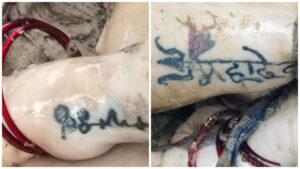 Shivnath River: Bilaspur Breaking...! Woman's body found in suspicious condition... Tattoo of 'Mahadev' written in trident on right hand... Graphic style on left hand too... See here