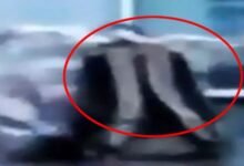 Raipur City News : An unclaimed bag near the entry gate of Mana Airport increased tension...! CISF bomb disposal team reached the spot