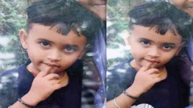 Death of an Innocent: Sad news from Durg… Mobile took the life of an innocent…! Uncle snatched the phone from a 3-year-old child… Pea got stuck in the lungs and died a painful death on the spot