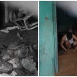 Murder of Mother: Horrific incident from Jashpur...! Mother was murdered and cut into pieces...then he sat near the dead body and started singing...watch the video here