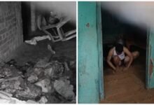 Murder of Mother: Horrific incident from Jashpur...! Mother was murdered and cut into pieces...then he sat near the dead body and started singing...watch the video here