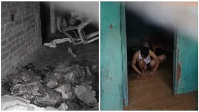 Murder of Mother: Horrific incident from Jashpur...! Mother was murdered and cut into pieces...then he sat near the dead body and started singing...watch the video here
