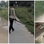Dog Death Zone: Horrifying incident...! The person kept roaming around with a weapon and firing continuously at the dogs... watch the video here