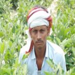 Installment of PM-Kisan Yojana: Farmers please pay attention...! Installment of PM Kisan Yojana has not reached the account... Don't worry... Know here in one click