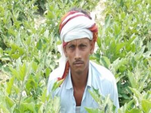 Installment of PM-Kisan Yojana: Farmers please pay attention...! Installment of PM Kisan Yojana has not reached the account... Don't worry... Know here in one click