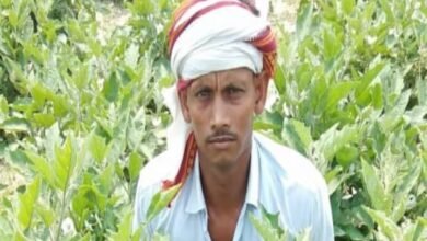 Installment of PM-Kisan Yojana: Farmers please pay attention...! Installment of PM Kisan Yojana has not reached the account... Don't worry... Know here in one click