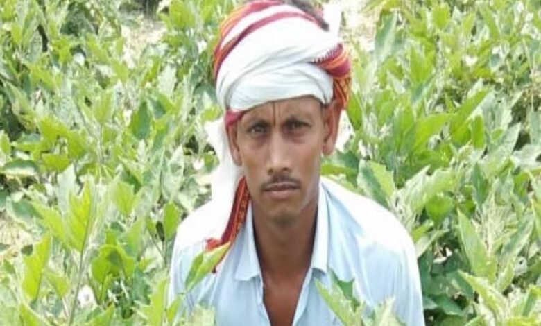 Installment of PM-Kisan Yojana: Farmers please pay attention...! Installment of PM Kisan Yojana has not reached the account... Don't worry... Know here in one click