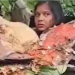 Accident on Barabanki Road: A huge tree fell on a roadways bus...! 5 people died a painful death... see here
