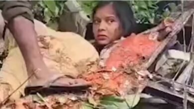 Accident on Barabanki Road: A huge tree fell on a roadways bus...! 5 people died a painful death... see here