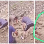 Kheer Ganga River: Disaster in Uttarkashi...! 36 crore cubic meters of debris of 'flood' engulfed the entire area... Bodies of loved ones buried under it... Watch VIDEO