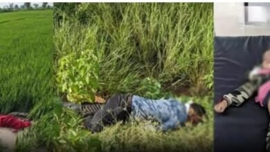 Big Accident: Big accident on Panduka-Jatamai road...! Brother and Bhabhi were going to get Rakhi tied by their sister...all three fell in the field after being hit by an Eco van...painful death