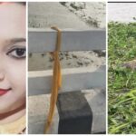 Mahanadi on NH: A woman tied her dupatta on the railing of the bridge on Mahanadi and jumped... Rescue team found two bodies