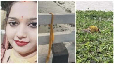 Mahanadi on NH: A woman tied her dupatta on the railing of the bridge on Mahanadi and jumped... Rescue team found two bodies