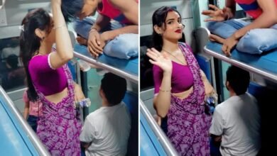 Video Viral: Kinnar full of gentleness and confidence in purple saree… you too will fall in love after seeing it