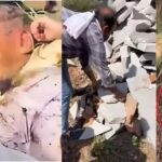 Cruel Mother: A heartbreaking incident...attempt to kill a 15-day-old newborn...stone in the mouth and Feviquick on the lips...see pictures here