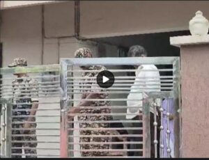 CG DMF Scam: Big action by ED...! 4 crore cash and 10 kg silver bricks recovered