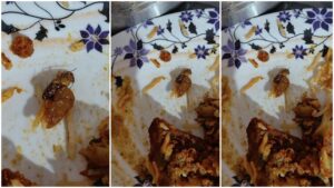 Be Careful: Dead cockroach found in biryani...! Action taken on this reputed restaurant on consumer's complaint