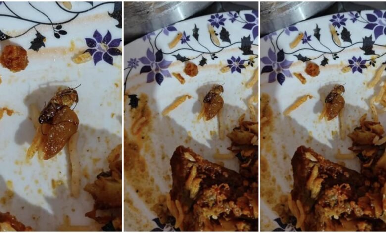 Be Careful: Dead cockroach found in biryani...! Action taken on this reputed restaurant on consumer's complaint