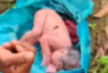 Korba: Newborn found in a plastic bag near a farm, villagers angry... watch video