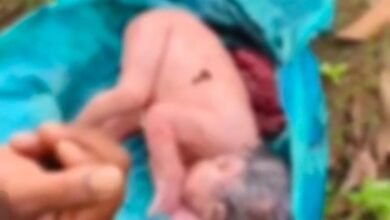 Korba: Newborn found in a plastic bag near a farm, villagers angry... watch video