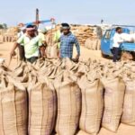 Paddy Procurement Policy: Committee in-charges suspended in Durg district...! Stock records are disorganized, and there are huge discrepancies in the figures for coarse and fine varieties of paddy.
