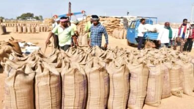 Paddy Purchase: Good news...preparations underway for historic paddy procurement! The process of purchasing paddy at the support price begins in November.