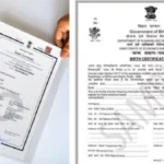Birth-Death Certificate: The birth and death certificate process in Chhattisgarh is now completely online! Birth certificates are the only valid basis for children born after October 2023. The state government has issued instructions to UIDAI.