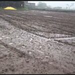 Heavy Rain: Unseasonal downpours have devastated garlic, wheat, and pea crops! Rivers are in spate, many villages are flooded, and watch the video here.