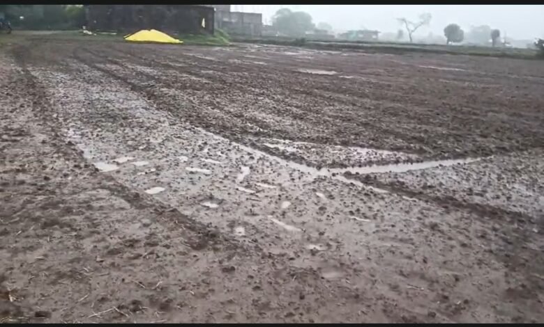 Heavy Rain: Unseasonal downpours have devastated garlic, wheat, and pea crops! Rivers are in spate, many villages are flooded, and watch the video here.