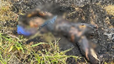 Burnt Alive: Humanity shamed! A young woman was burned alive in Baloda Bazar...mourning in the village.