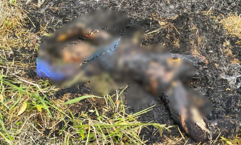 Burnt Alive: Humanity shamed! A young woman was burned alive in Baloda Bazar...mourning in the village.