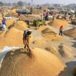 Paddy Purchase: This time, paddy will be purchased using the biometric method! Tokens will be available through a mobile app... Special monitoring of sensitive procurement centers.