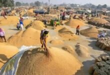 Paddy Purchase: This time, paddy will be purchased using the biometric method! Tokens will be available through a mobile app... Special monitoring of sensitive procurement centers.