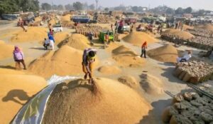 Paddy Purchase: This time, paddy will be purchased using the biometric method! Tokens will be available through a mobile app... Special monitoring of sensitive procurement centers.