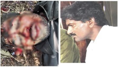 Andhra Pradesh-CG Border: Another encounter on the second day after Hidma's killing... 7 Maoists killed, including IED expert Tek Shankar and top leader Devji.