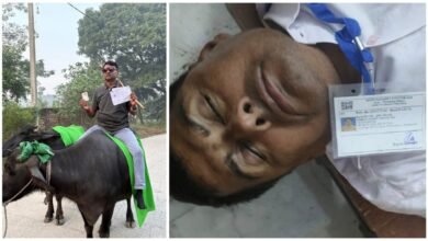 Bihar Elections 2025: Leaders arrive to vote riding buffaloes... Official faints...! Various scenes from polling stations