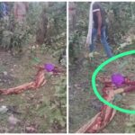 Killer Mother: Heartbreaking news! 8-year-old murdered...mother strangles 'Mamta' with a nylon rope...watch the video here